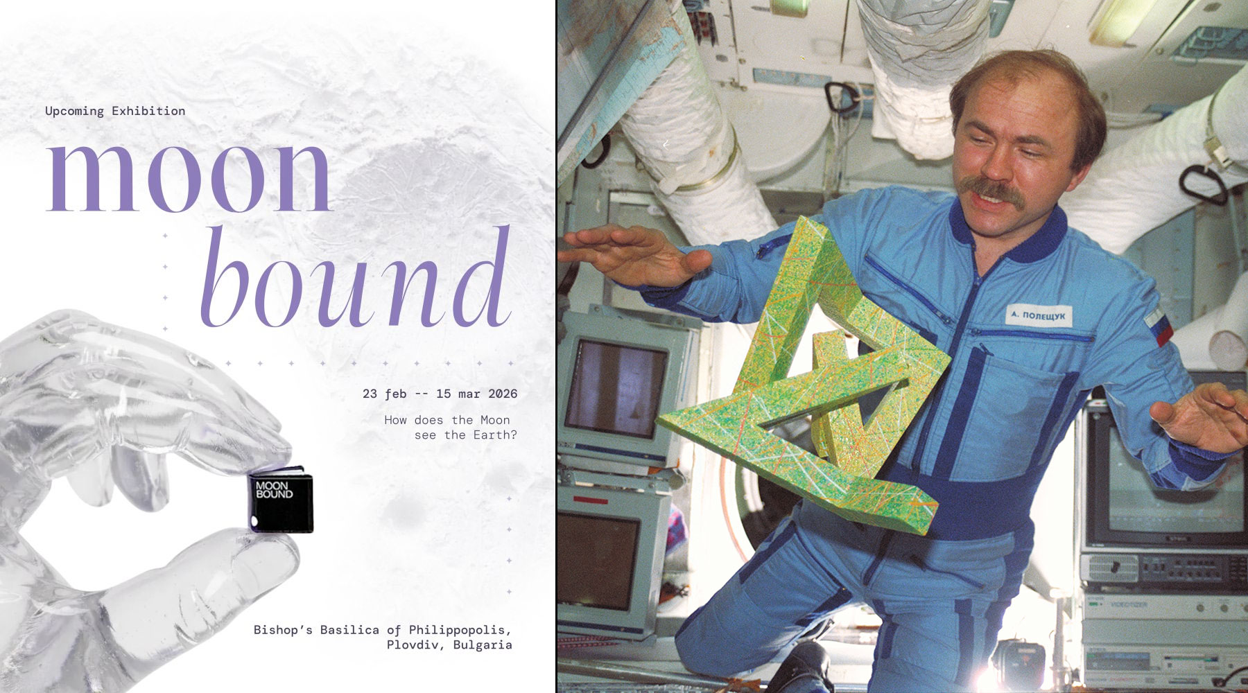 Moon bound Book