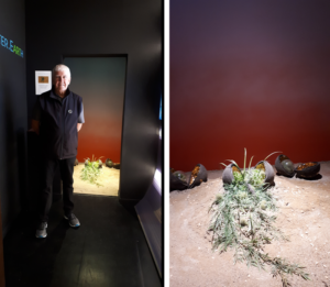EarthSeeds installation Plazzo Bembo, Venice