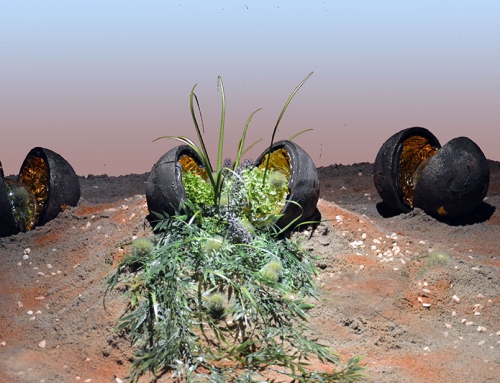 EarthSeeds