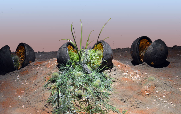 EarthSeeds Installation
