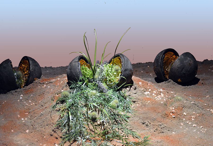 EarthSeeds Installation