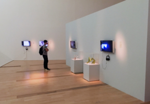 Art Science Museum Exhibition